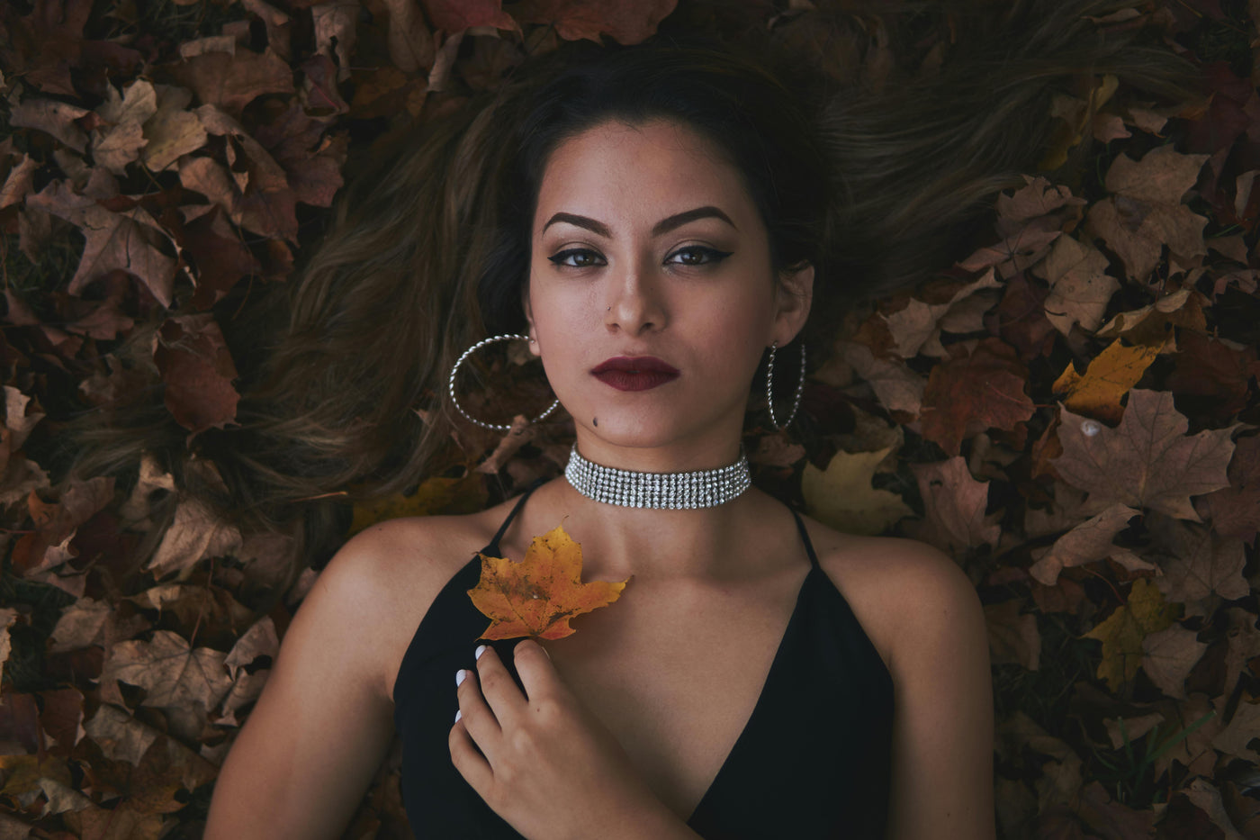 Collection automne